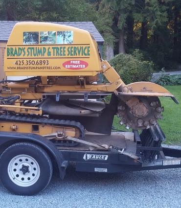 contact Brad's Stump and Tree Service