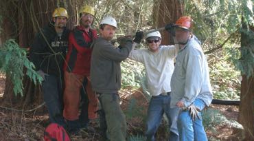 brad's tree service team